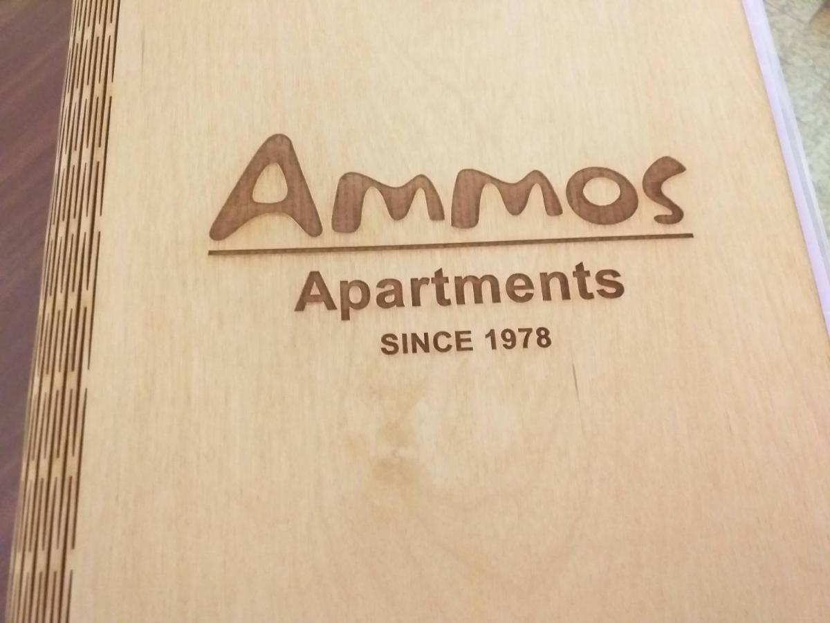 Ammos Apartments Агиос-Николаос Экстерьер фото